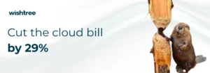 Cloud Cost Optimization: Why 29% of Your Cloud Bill Is Being Wasted Right Now
