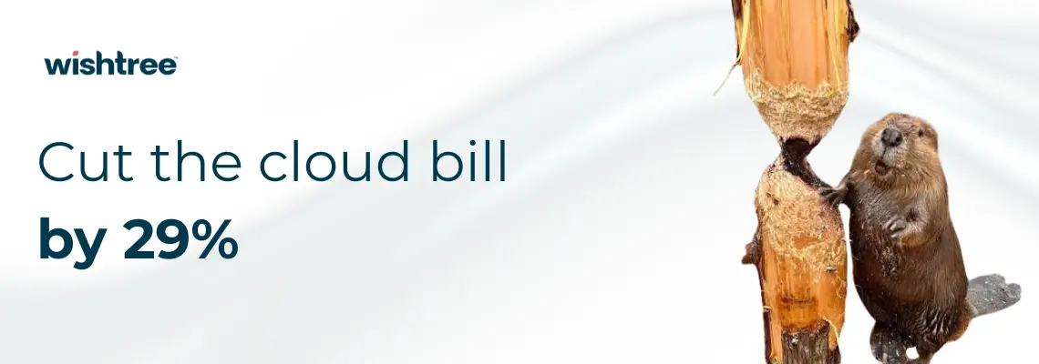 Cloud Cost Optimization: Why 29% of Your Cloud Bill Is Being Wasted Right Now